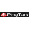 PingTurk logo