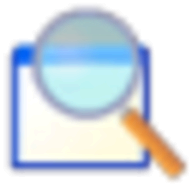 Window Detective logo