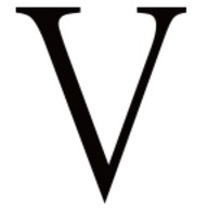 V-TEX Shoes logo