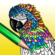 Mandala - adults coloring book logo