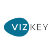 VizKey logo