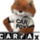 Carvana icon