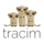 LaciCloud icon