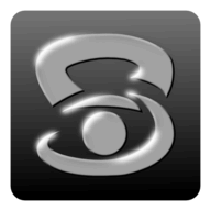 SwingSane logo