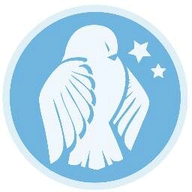 SafeNight logo