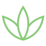 LeafOps logo
