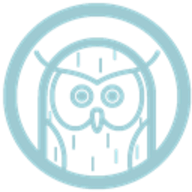 Owlskip logo