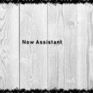 Now Assistant logo