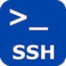 Persistent SSH
