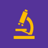 AP Easy logo
