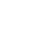 Automatonism logo