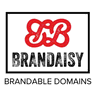 Brandaisy logo