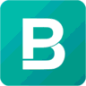 BigPicture.io logo