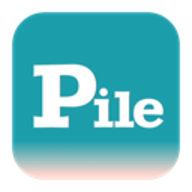 PileMD logo