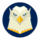 Goose VPN icon