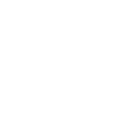Lexsury logo