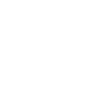 Lexsury logo