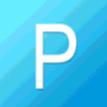 Pulse Site Auditor logo