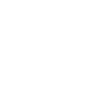 Host IT Smart logo