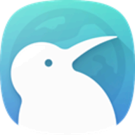 Kiwi Browser logo