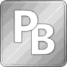 PerfectBrain Professional logo