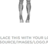 Shins logo