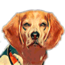 Beagle IM logo