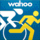 Wahoo X icon