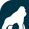 Health Gorilla logo