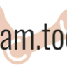 Steam Tools Hub logo