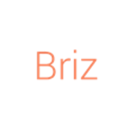 Briz Framework logo