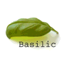 Basilic logo