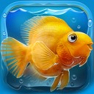 iQuarium logo