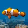 Marine Aquarium logo
