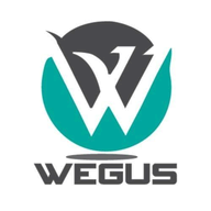 wegusinfotech.com Wegus logo