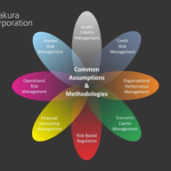 Kamakura Risk Manager logo
