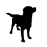 Updog.co logo