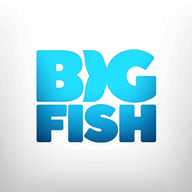 BIGfish logo