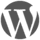 VideoBurst icon