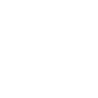 ttmnq.com TianTian Emulator logo