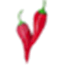 Spicyfile logo