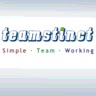 teamstinct.com logo