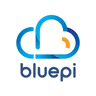 BluePi Consulting logo