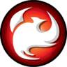 Phoenix Ortho logo