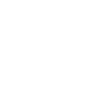 wingsinfo.net Wings ERP FMCG logo
