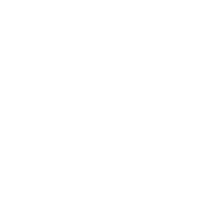 Concise Courses logo
