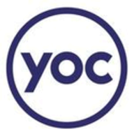 VIS.X logo
