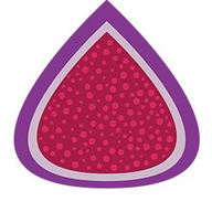 Figment POS logo