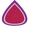 Figment POS logo