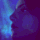 LenaWolf avatar